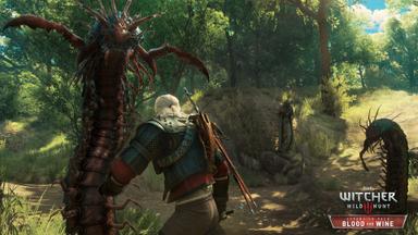 The Witcher 3: Wild Hunt - Expansion Pass