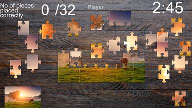 Crazy Puzzle PC Fiyatları