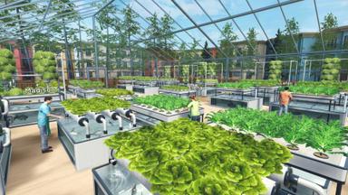 Hydroponics Farm &amp; Store Simulator PC Key Fiyatları