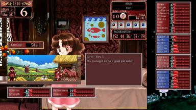 Princess Maker 2 Regeneration PC Key Fiyatları